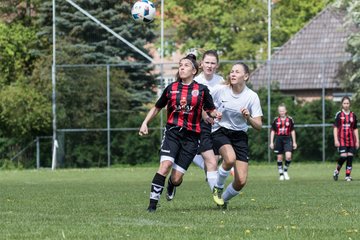 Bild 36 - B-Juniorinnen MSG Steinhorst-Krummesse - Harburger TB : Ergebnis: 0:9